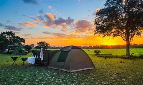 Kilimanjaro Trek