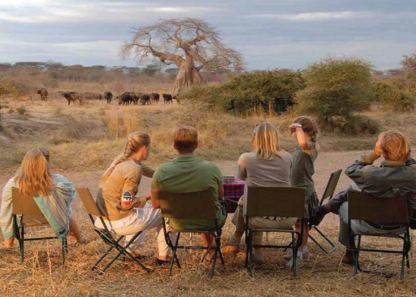 Safari Adventure